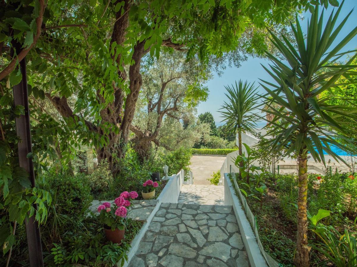 The Turtles Garden Villa Bečići Luaran gambar