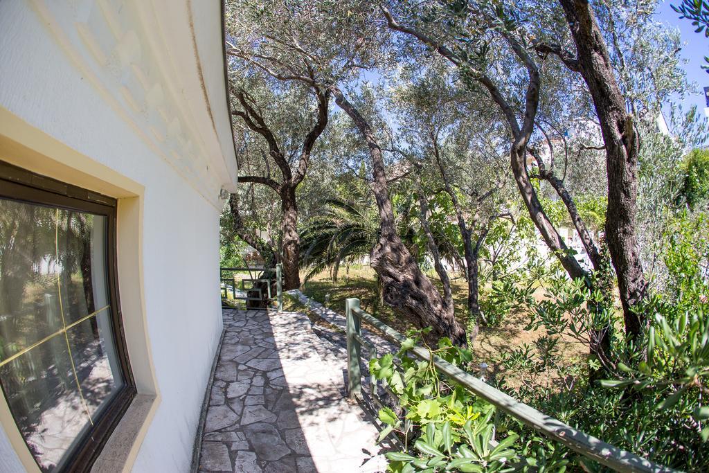 The Turtles Garden Villa Bečići Luaran gambar