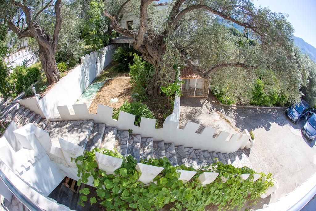 The Turtles Garden Villa Bečići Luaran gambar